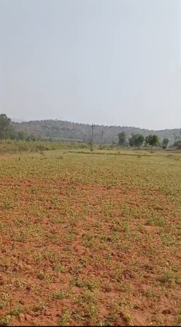  35 Guntha Agricultural/Farm Land for Sale in Halaguru, Mandya