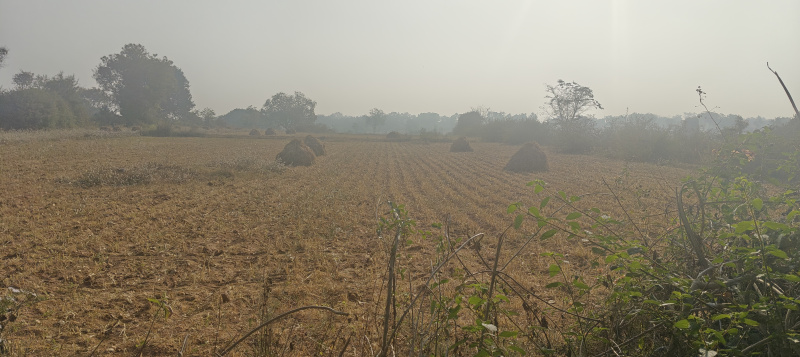  2 Acre Agricultural/Farm Land for Sale in Krishnarajanagar, Mysore