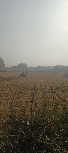  2 Acre Agricultural/Farm Land for Sale in Krishnarajanagar, Mysore