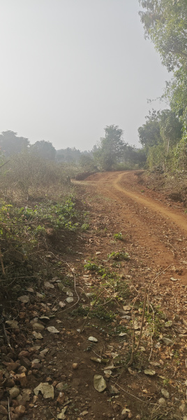  2 Acre Agricultural/Farm Land for Sale in Krishnarajanagar, Mysore