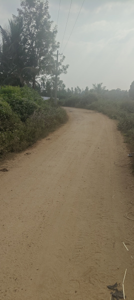  3 Acre Agricultural/Farm Land for Sale in Hunsur, Mysore
