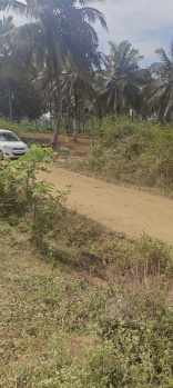  Agricultural Land for Sale in Hunsur, Mysore