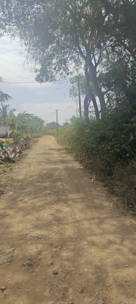  2 Acre Agricultural/Farm Land for Sale in Hunsur, Mysore