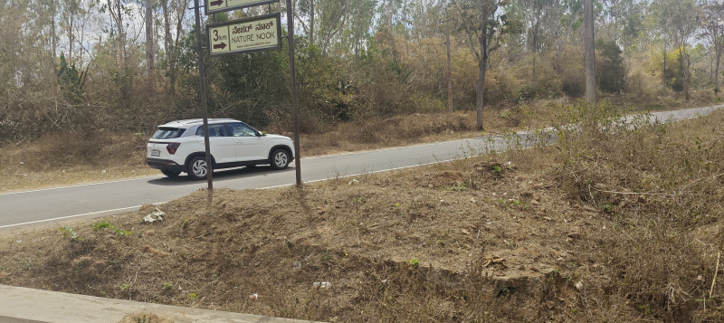  3 Acre Agricultural/Farm Land for Sale in Hunsur, Mysore