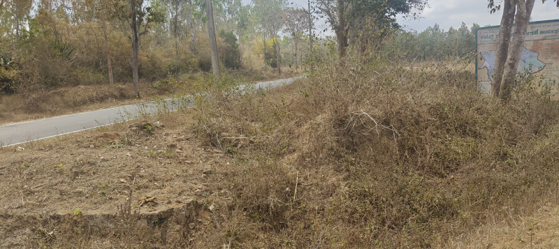  3 Acre Agricultural/Farm Land for Sale in Hunsur, Mysore