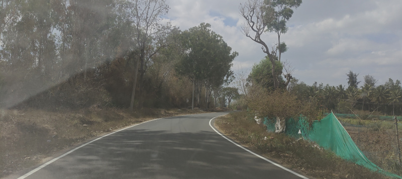  3 Acre Agricultural/Farm Land for Sale in Hunsur, Mysore