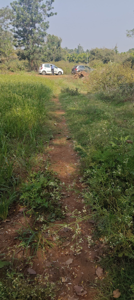  2 Acre Agricultural/Farm Land for Sale in Hunsur, Mysore