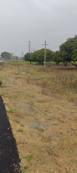  3 Acre Agricultural/Farm Land for Sale in Krishnarajanagar, Mysore