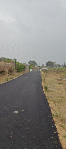  3 Acre Agricultural/Farm Land for Sale in Krishnarajanagar, Mysore