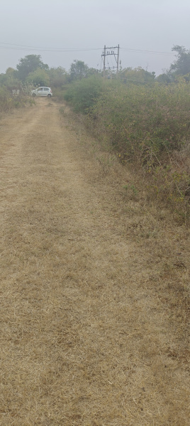  3 Acre Agricultural/Farm Land for Sale in Krishnarajanagar, Mysore