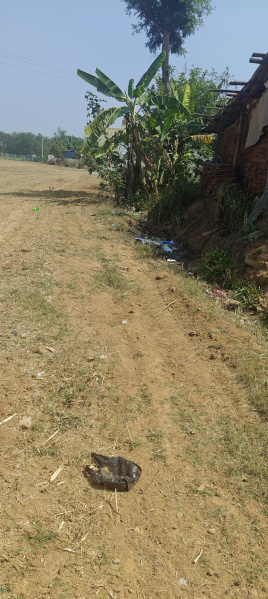  2 Acre Agricultural/Farm Land for Sale in Bangarapet, Kolar