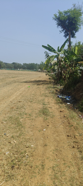 2 Acre Agricultural/Farm Land for Sale in Bangarapet, Kolar