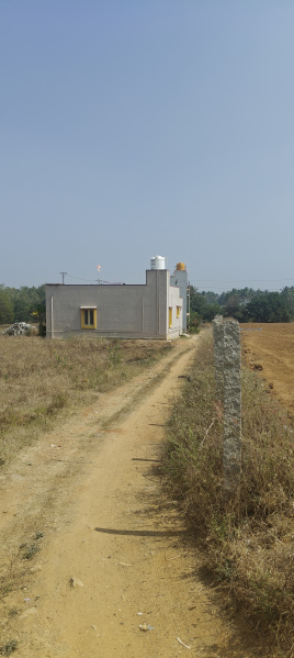  1 Acre Agricultural/Farm Land for Sale in Bangarapet, Kolar
