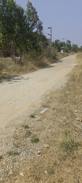  1 Acre Agricultural/Farm Land for Sale in Bangarapet, Kolar