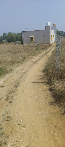  1 Acre Agricultural/Farm Land for Sale in Bangarapet, Kolar