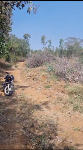  23 Guntha Agricultural/Farm Land for Sale in Bangarapet, Kolar