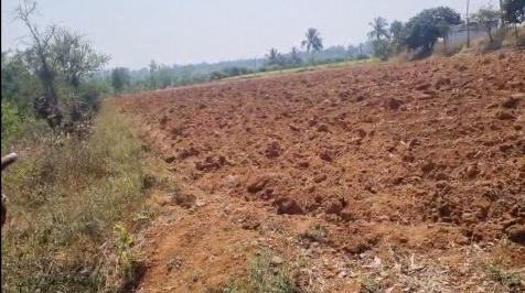  23 Guntha Agricultural/Farm Land for Sale in Bangarapet, Kolar