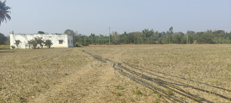  3 Acre Industrial Land for Sale in Bangarapet, Kolar