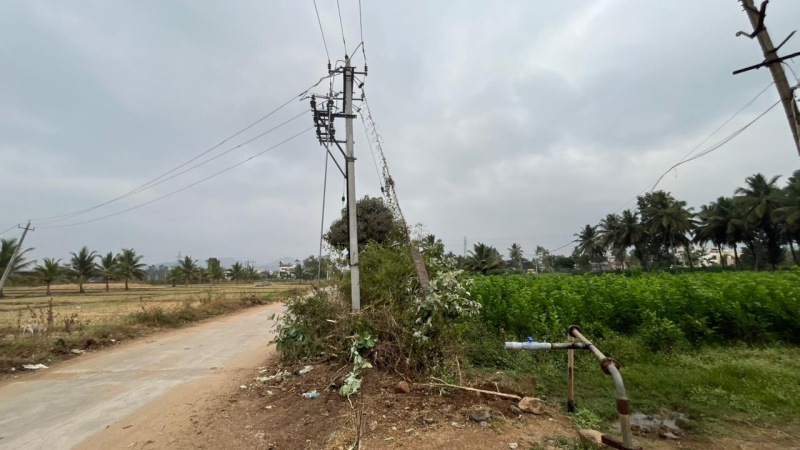  24 Guntha Agricultural/Farm Land for Sale in Kanakapura, Bangalore