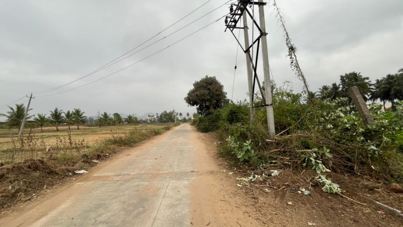  24 Guntha Agricultural/Farm Land for Sale in Kanakapura, Bangalore