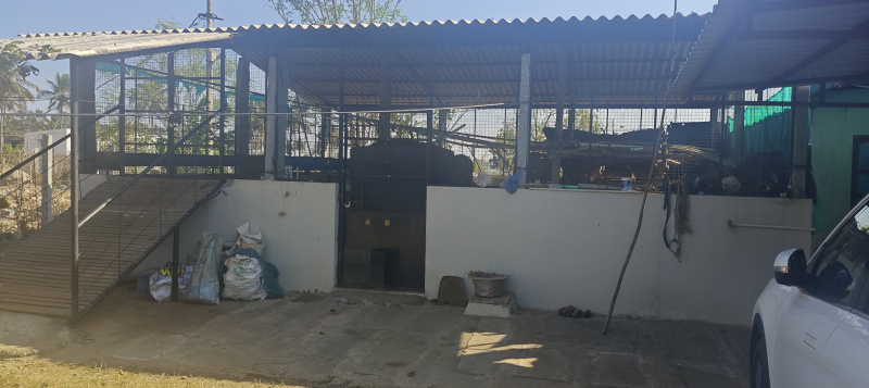  3 Acre Agricultural/Farm Land for Sale in Bethamangala, Kolar