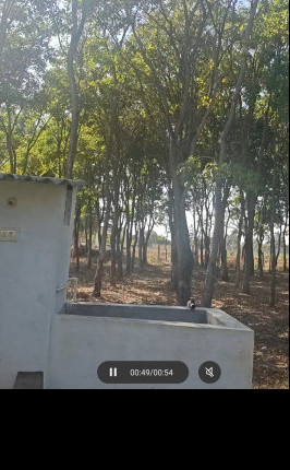  2 Acre Agricultural/Farm Land for Sale in Bethamangala, Kolar