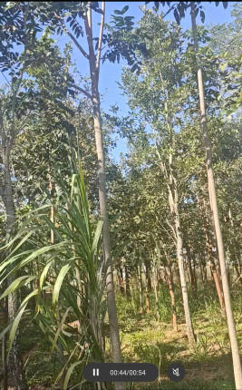  2 Acre Agricultural/Farm Land for Sale in Bethamangala, Kolar