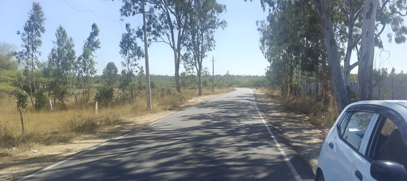  3 Acre Agricultural/Farm Land for Sale in Bangarapet, Kolar