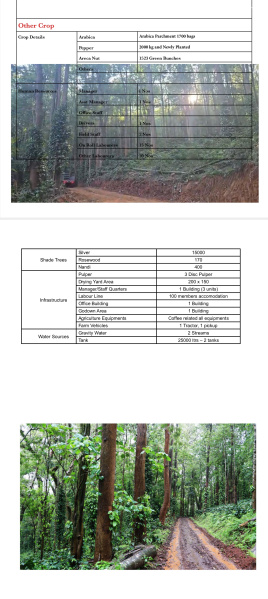  200 Sq.ft. Agricultural/Farm Land for Sale in Narasimharajapura, Chikmagalur