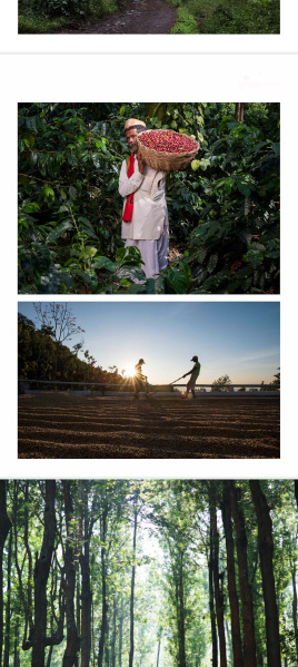  200 Sq.ft. Agricultural/Farm Land for Sale in Narasimharajapura, Chikmagalur