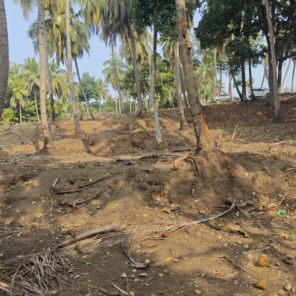  1 Acre Agricultural/Farm Land for Sale in Srirangapatnam, Mysore