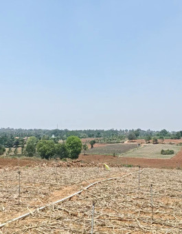  1 Acre Agricultural/Farm Land for Sale in Bilikere, Mysore