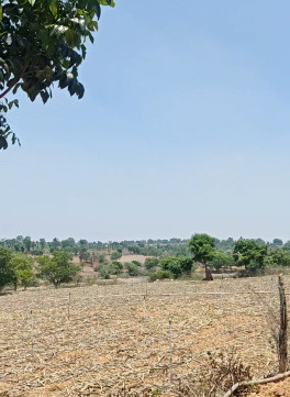  1 Acre Agricultural/Farm Land for Sale in Bilikere, Mysore