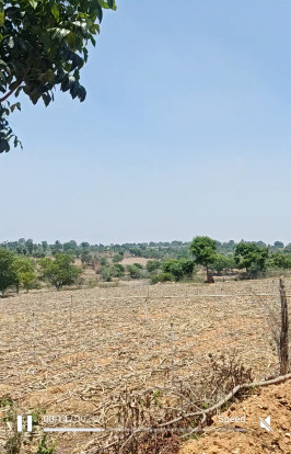  20 Acre Agricultural/Farm Land for Sale in Nanjangud, Mysore