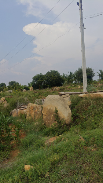Chikkaballapur, Bangalore photo 4