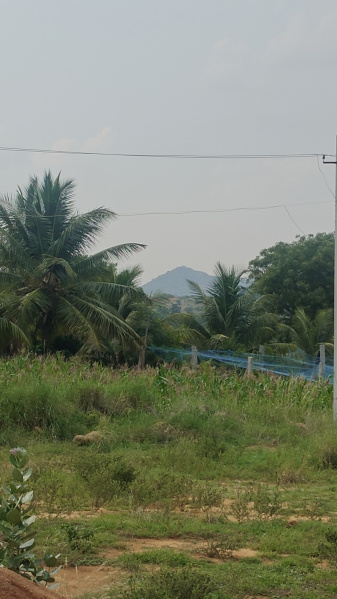 Chikkaballapur, Bangalore photo 5