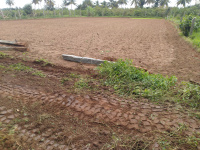  Agricultural Land for Rent in Yelahanka, Bangalore