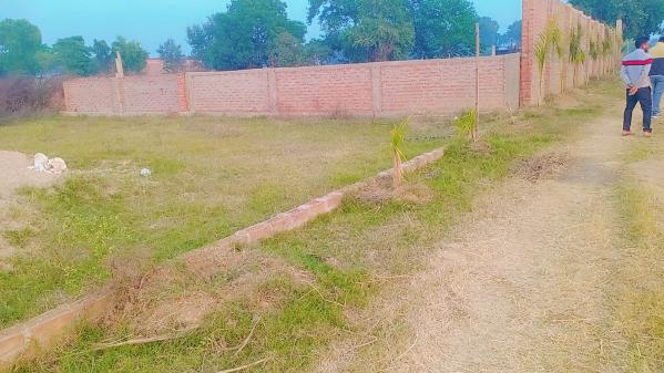  Residential Plot 1000 Sq.ft. for Sale in Bihta, Patna