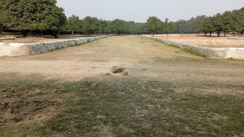  Residential Plot 1000 Sq.ft. for Sale in Agra Express Highway, Lucknow