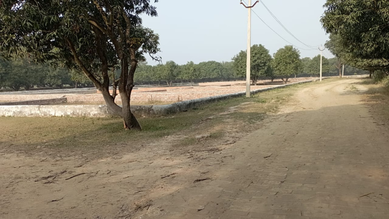  Residential Plot 800 Sq.ft. for Sale in Budheshwar, Lucknow