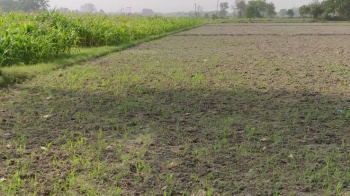  Agricultural Land for Sale in Baqarganj, Bareilly