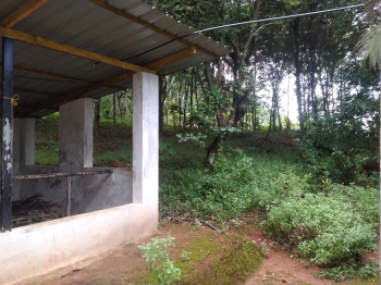  Agricultural Land for Sale in Mannarkkad, Palakkad