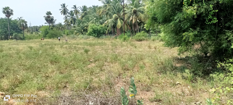  Agricultural Land 1 Acre for Sale in Kangeyam, Tirupur
