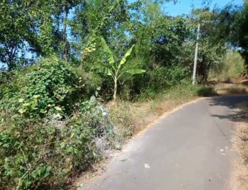  Residential Plot for Sale in Sawantwadi, Sindhudurg