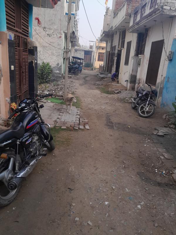 2 BHK House & Villa 50 Sq. Yards for Sale in Dyal Singh Colony, Karnal