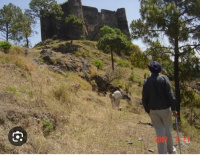  Agricultural Land for Sale in Bajoral Khurd, Solan