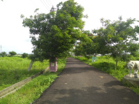  Residential Plot for Sale in Sinditurf Hind Nagar, Wardha