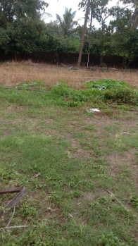  Residential Plot for Sale in Padavu, Mangalore