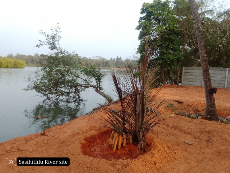  Residential Plot 5 Acre for Sale in Hejamadi, Mangalore