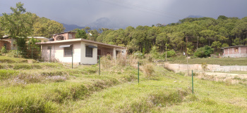  Agricultural Land for Sale in Palampur Road, Dharamsala